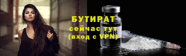 сатива Армянск