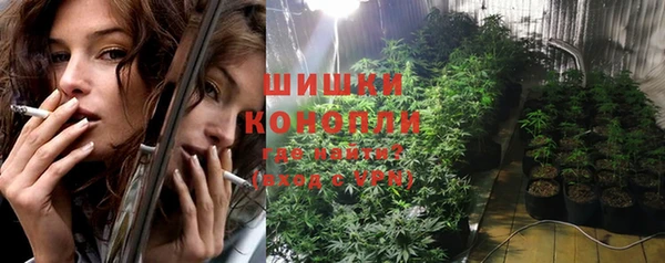 сатива Армянск