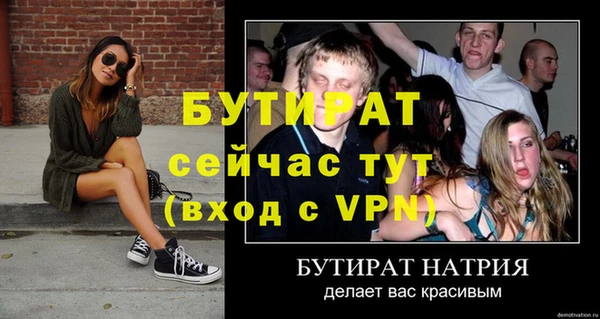 сатива Армянск